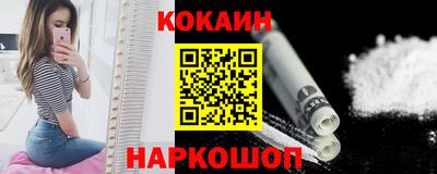 сатива Новозыбков