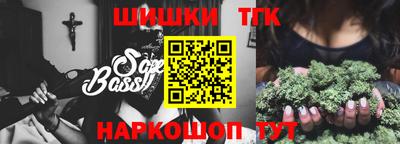 сатива Новозыбков