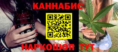 сатива Новозыбков