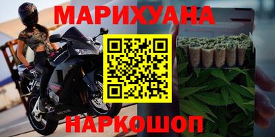 сатива Новозыбков