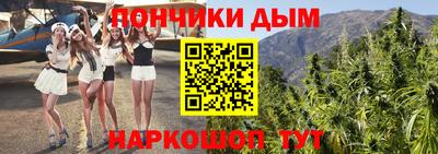 сатива Новозыбков