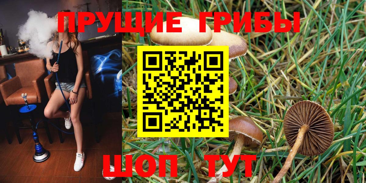 Псилоцибиновые грибы MAGIC MUSHROOMS Сертолово