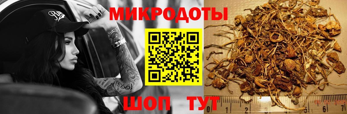 Сертолово  Псилоцибиновые грибы ЛСД  Вход с VPN 